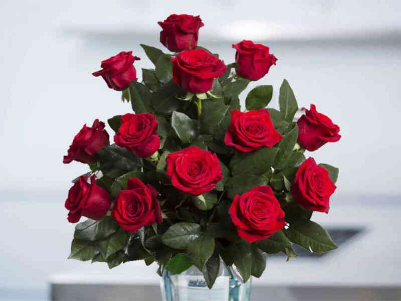 Bunga Mawar Jenis Bunga Untuk Buket Pernikahan